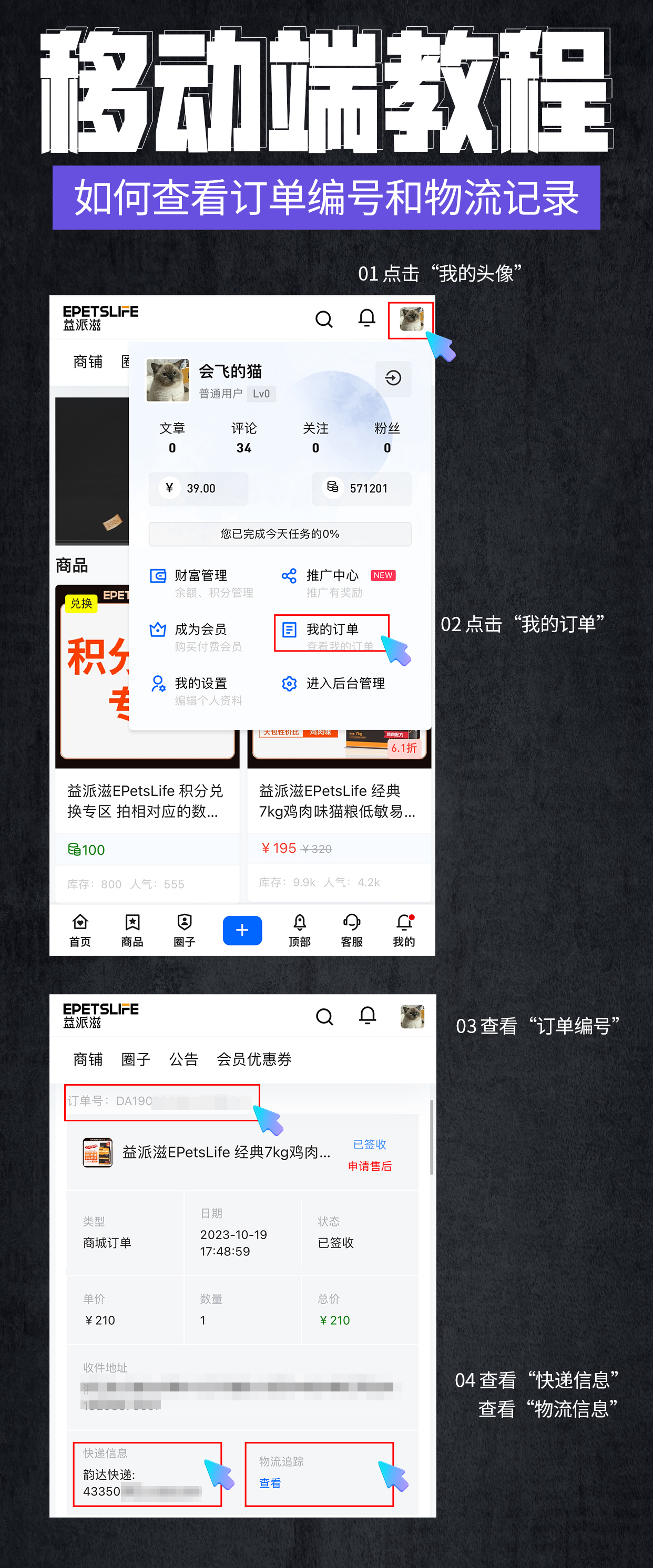 付款后如何查看订单编号和物流记录
