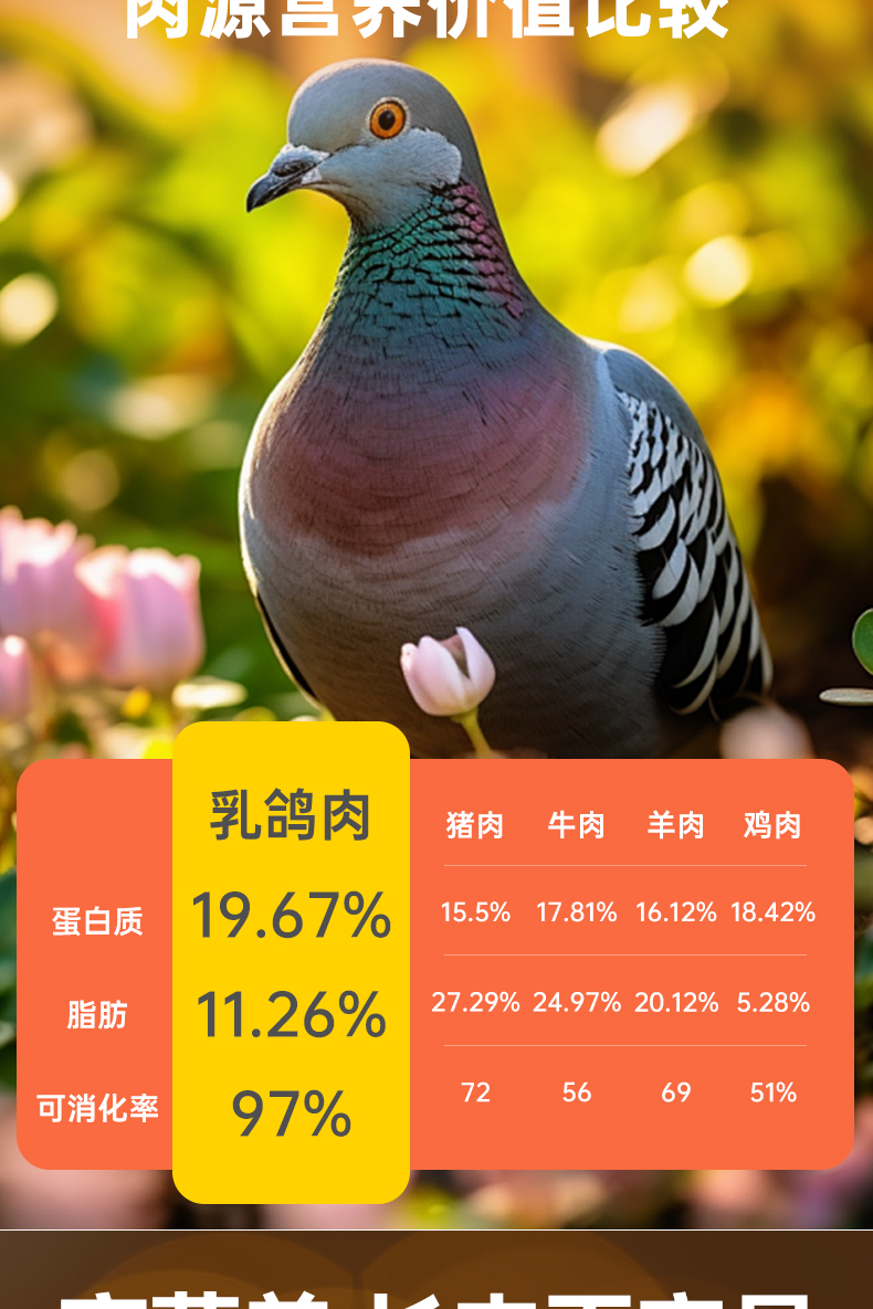 益派滋EPetsLife 经典1.5kg猎鸽盛宴全价乳鸽猫粮