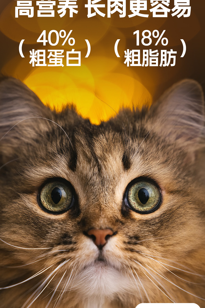益派滋EPetsLife 经典1.5kg猎鸽盛宴全价乳鸽猫粮